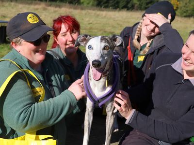 After 865 days, it’s fourth time lucky for Underdog Missi
